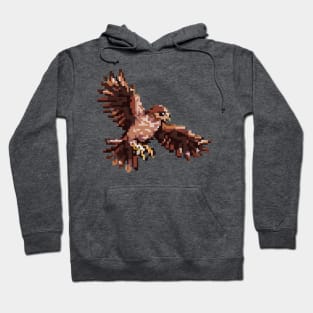 An eagle spreads its wings Hoodie